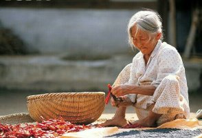 검은 머리와 흰 머리