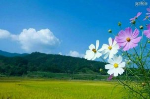 웃자웃자 이미지