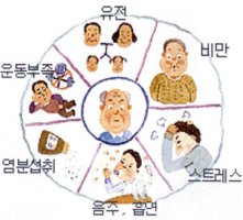 고혈압에 좋은 차, 고혈압에 좋은 차 종류