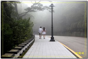 동행 이미지