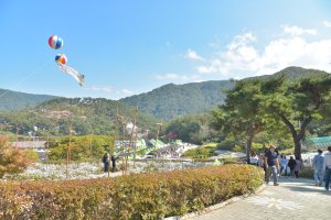 정읍:구절초축제