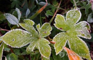 강원 내륙 영하권 '입동' 추위..철원 영하 3.4도