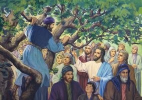 (녹) 연중 제33주간 화요일 -11월19일