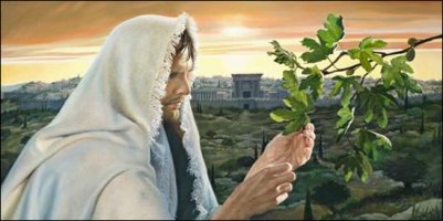 2015년 11월 27일 연중 제34주간 금요일