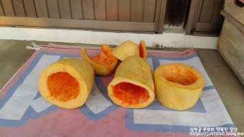 늙은호박효능 : 알고먹으면 더 좋겠지요.