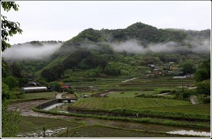 연중 제4주간 수요일 복음 묵상