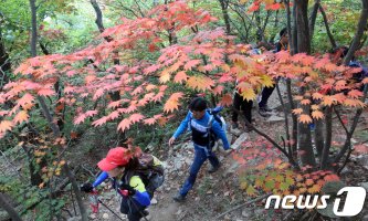 [다듬은 우리말④] '아웃도어 룩' 대신 '야외활동 차림'