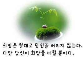 염일방일(拈一放一)