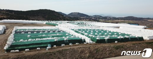 제주도 쓰레기난 코앞..'안이한 행정'이 禍 불렀다