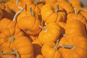 건강에 유익한 늙은호박 효능 알고 드세요