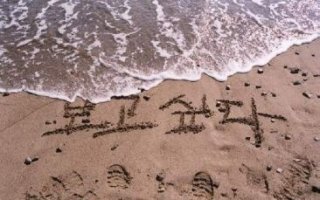 그리움만 남겨 놓고 / 안희선