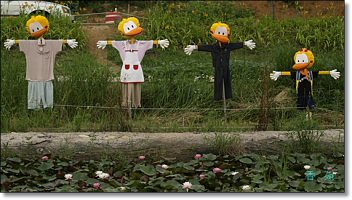 관곡지에서