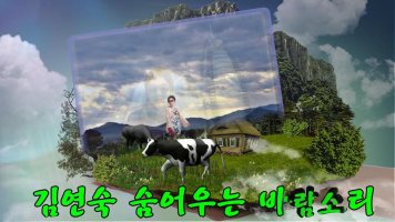 [스크랩] 김연숙 / 숨어우는 바람소리(가사첨부)