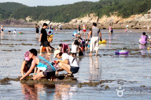 고사포해수욕장