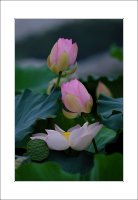 관곡지..9-10