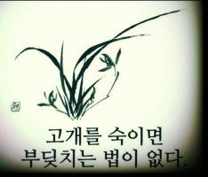 멋진 바보