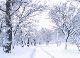 í•˜ì–€ ëˆˆ