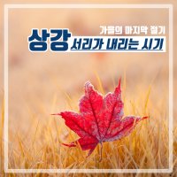 [24절기] 상강(霜降) / 서리가 내리는 시기