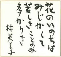 矢車の花 )- / 唄 : 岩本公水