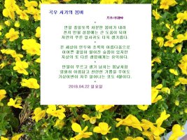 곡우 시기의 봄비