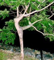 인생의 벗이 그리워지는 계절
