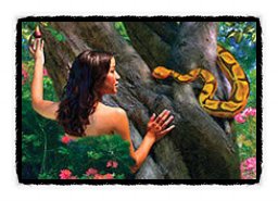 재미있는 성경 이야기 창세기 3장 에덴동산 선악과를 먹게된 하와와 아담 뱀의 유혹에 넘어가다