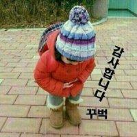 늘 이미지