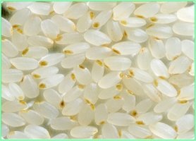 “삼시세끼, 쌀눈쌀 밥으로 건강 챙기세요”
