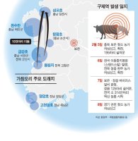 같은 유형 구제역 게릴라 확산.. 경로는 미궁
