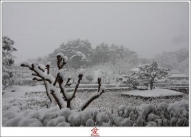 강릉 선교장 눈내리는 풍경