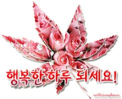 그렇게 서둘러 가라 마오