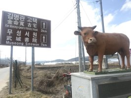 정읍에서 소고기 먹기-정읍산외한우마을