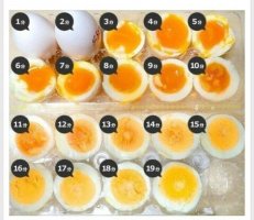 내가 보려고 모은 유용한 꿀팁 짤