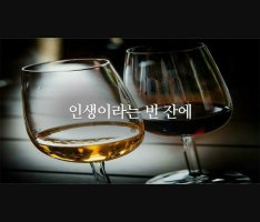 "소주 한잔 할래?" 라는말