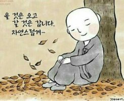 관계(關係) 의 소중함 // 釜山의 情景 // 늙어가는 모습은 똑같더라 // 어머니의 섬 완도