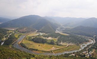 정읍 구절초 축제