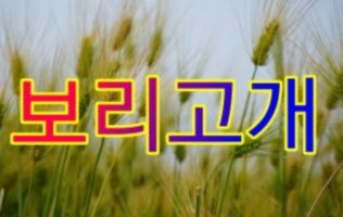 ✈ 3월 29일 (금) 대구방 출부입니다~✈