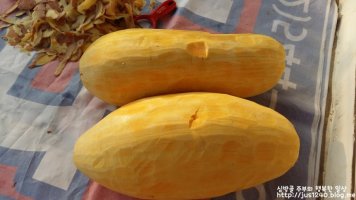 늙은호박효능 : 알고먹으면 더 좋겠지요.