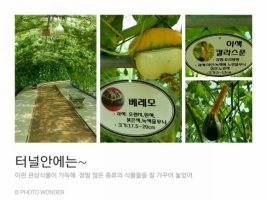 여름엔 시흥 관곡지