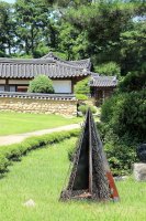 시흥 관곡지 여름 風景 (20180718)