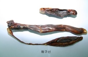 재미있는 해구신 이야기