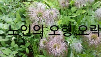 오락 이미지