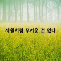 세월처럼 무서운 건 없다~