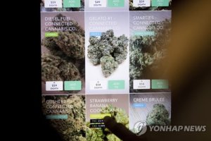 마리화나 합법화에 업계 빅딜..캐나다업체 '오로라' 세계1위로