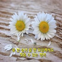 꽃 한송이 물 한모금에서도..