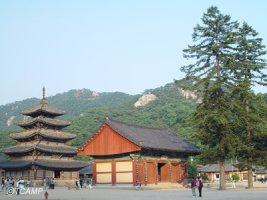 [제빵왕 김탁구 촬영지 따라잡기]속리산 법주사 가을여행과 대통령별장