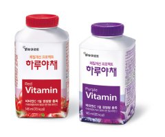 체질개선 프로젝트 하루야채!