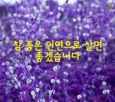 &lt;참 좋은 인연으로 살면 좋겠습니다&gt;