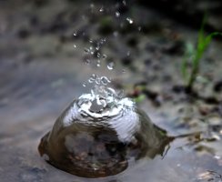 수적천석(水滴穿石)으로 경영의 神이 된 사나이