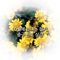 상강(霜降)/뜻,자연현상,풍속,절기음식